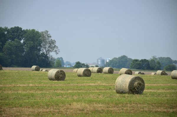 Pacas de paja y heno en el campo de origen