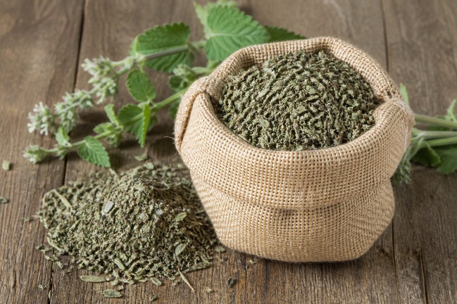 Hierba gatera seca, producto natural